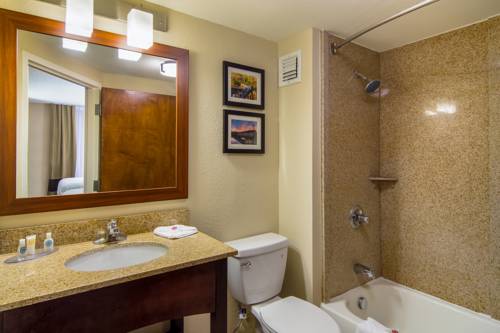 Imagen de la habitación del Hotel Comfort Inn Acworth - Kennesaw Northwest. Foto 1