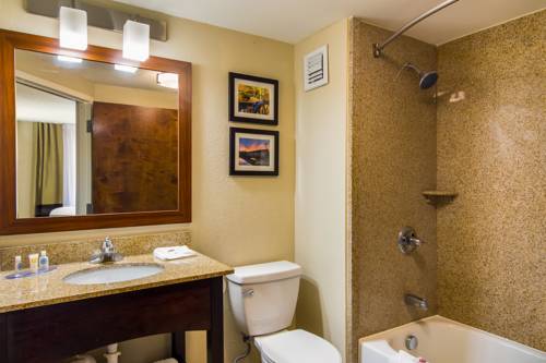 Imagen de la habitación del Hotel Comfort Inn Acworth - Kennesaw Northwest. Foto 5