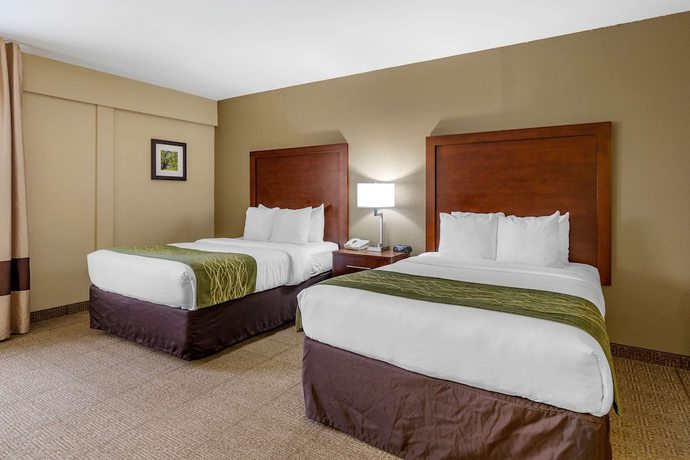 Imagen de la habitación del Hotel Comfort Inn Aikens Center. Foto 2