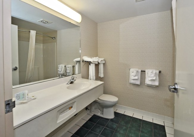 Imagen de la habitación del Hotel Comfort Inn Airport, Roanoke. Foto 11