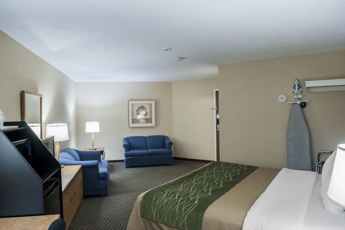 Imagen de la habitación del Hotel Comfort Inn Airport West. Foto 8