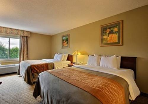 Imagen de la habitación del Hotel Comfort Inn Amish Country. Foto 3