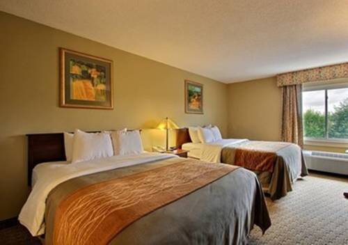 Imagen de la habitación del Hotel Comfort Inn Amish Country. Foto 6