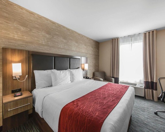Imagen de la habitación del Hotel Comfort Inn And Suites Airport North. Foto 3