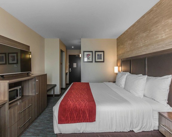 Imagen de la habitación del Hotel Comfort Inn And Suites Airport North. Foto 10