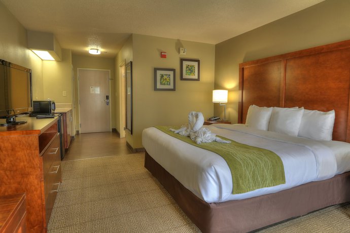 Imagen de la habitación del Hotel Comfort Inn And Suites At Dollywood Lane. Foto 4