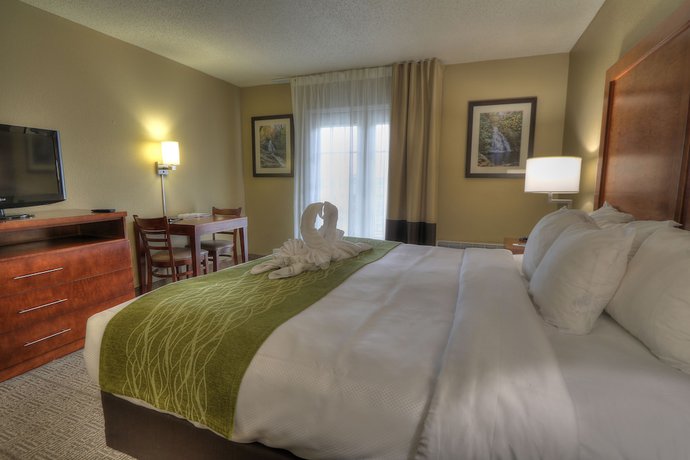 Imagen de la habitación del Hotel Comfort Inn And Suites At Dollywood Lane. Foto 6