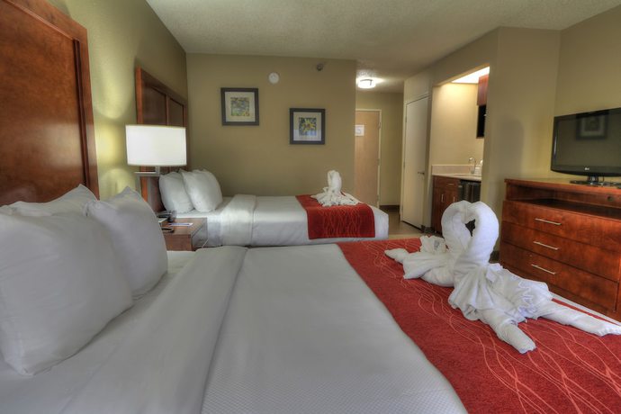 Imagen de la habitación del Hotel Comfort Inn And Suites At Dollywood Lane. Foto 7