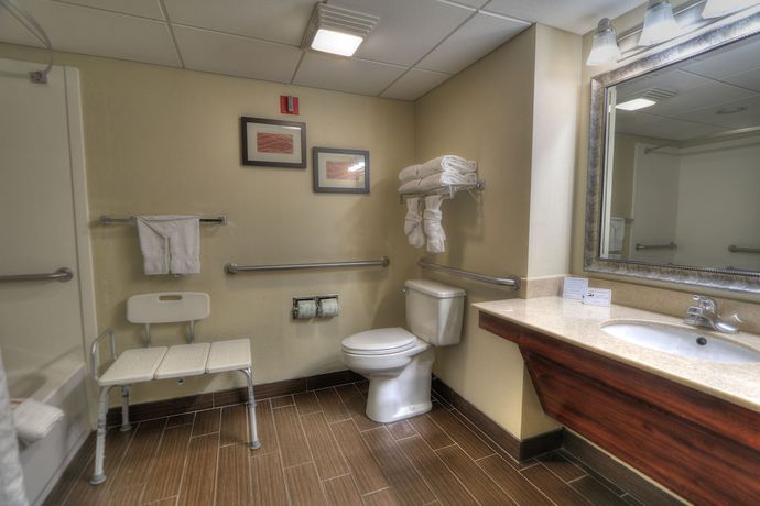 Imagen de la habitación del Hotel Comfort Inn And Suites At Dollywood Lane. Foto 8