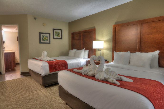 Imagen de la habitación del Hotel Comfort Inn And Suites At Dollywood Lane. Foto 13