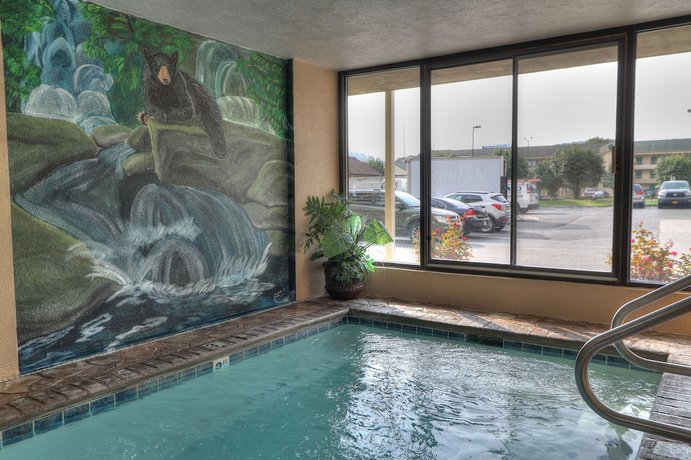 Imagen de la piscina del Hotel Comfort Inn And Suites At Dollywood Lane. Foto 20