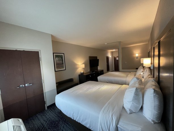 Imagen de la habitación del Hotel Comfort Inn And Suites Balch Springs - Se Dallas. Foto 10