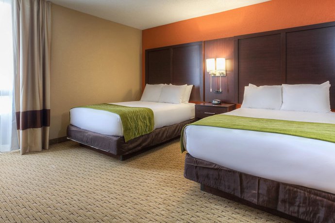 Imagen de la habitación del Hotel Comfort Inn And Suites Evansville Airport. Foto 3