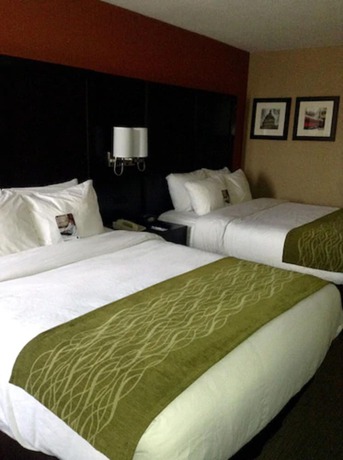 Imagen de la habitación del Hotel Comfort Inn And Suites Evansville Airport. Foto 8