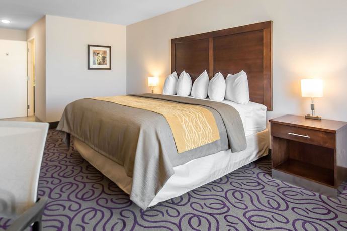 Imagen de la habitación del Hotel Comfort Inn And Suites, Lovington. Foto 12