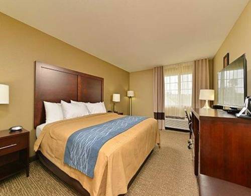 Imagen de la habitación del Hotel Comfort Inn And Suites Manheim. Foto 5