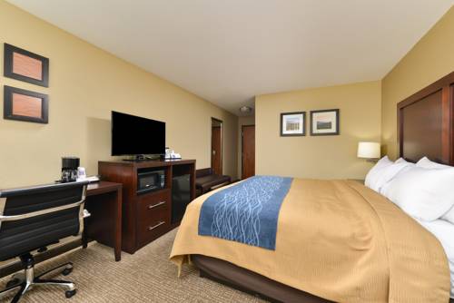 Imagen de la habitación del Hotel Comfort Inn And Suites Manheim. Foto 6