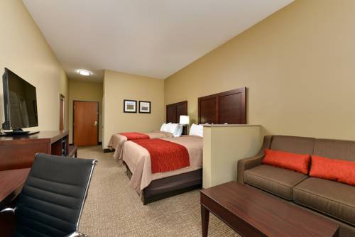 Imagen de la habitación del Hotel Comfort Inn And Suites Manheim. Foto 8