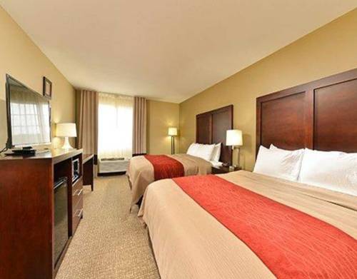 Imagen de la habitación del Hotel Comfort Inn And Suites Manheim. Foto 9