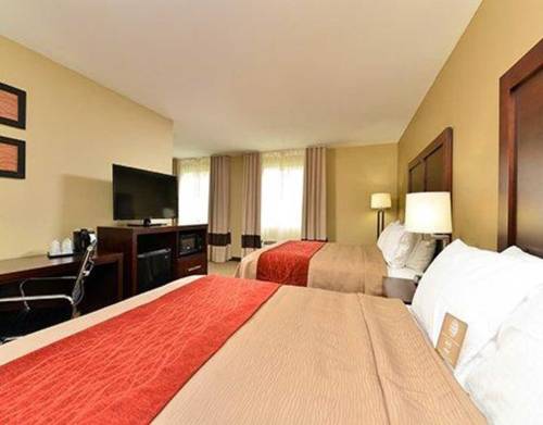 Imagen de la habitación del Hotel Comfort Inn And Suites Manheim. Foto 10
