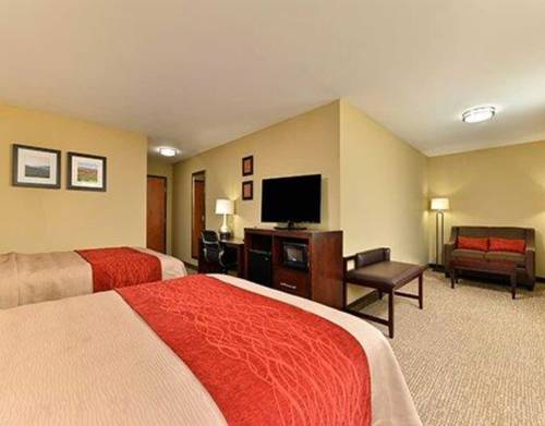 Imagen de la habitación del Hotel Comfort Inn And Suites Manheim. Foto 11