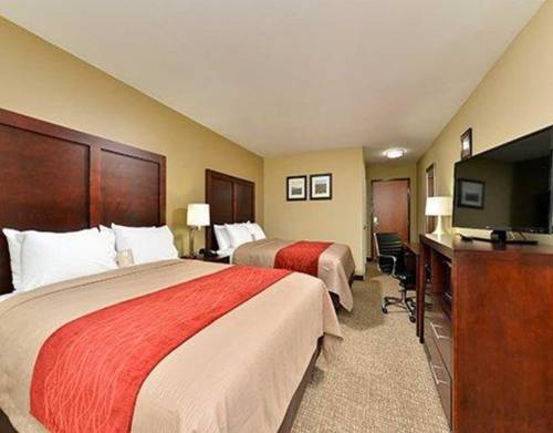 Imagen de la habitación del Hotel Comfort Inn And Suites Manheim. Foto 12