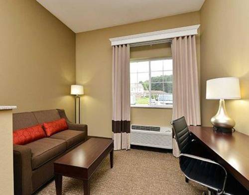 Imagen general del Hotel Comfort Inn And Suites Manheim. Foto 1