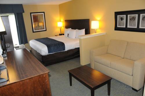 Imagen de la habitación del Hotel Comfort Inn And Suites Newark. Foto 5
