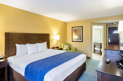 Imagen de la habitación del Hotel Comfort Inn And Suites Newark. Foto 6