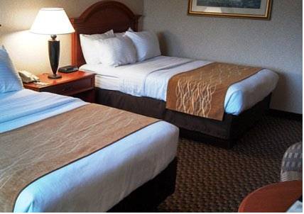 Imagen de la habitación del Hotel Comfort Inn And Suites Pittsburgh. Foto 2