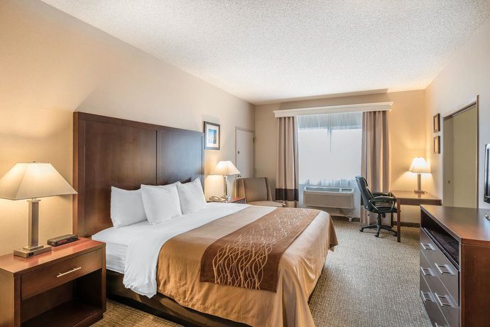 Imagen de la habitación del Hotel Comfort Inn And Suites Seattle North. Foto 4