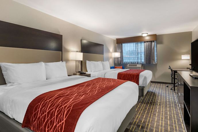 Imagen de la habitación del Hotel Comfort Inn And Suites Tigard Near Washington Square. Foto 8