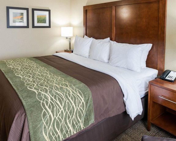 Imagen de la habitación del Hotel Comfort Inn And Suites West - Medical Center. Foto 6