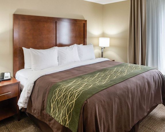 Imagen de la habitación del Hotel Comfort Inn And Suites West - Medical Center. Foto 16