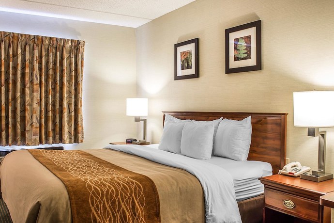Imagen de la habitación del Hotel Comfort Inn And Suites Wilkes Barre - Arena. Foto 3