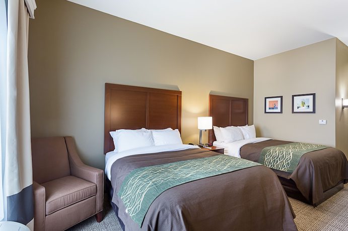 Imagen de la habitación del Hotel Comfort Inn And Suites, Zachary. Foto 4