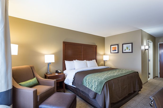 Imagen de la habitación del Hotel Comfort Inn And Suites, Zachary. Foto 13