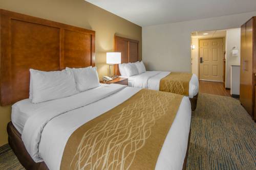Imagen de la habitación del Hotel Comfort Inn Apple Valley Sevierville. Foto 4