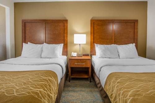 Imagen de la habitación del Hotel Comfort Inn Apple Valley Sevierville. Foto 5
