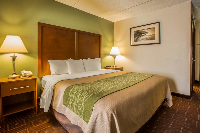 Imagen de la habitación del Hotel Comfort Inn Asheville Airport. Foto 7