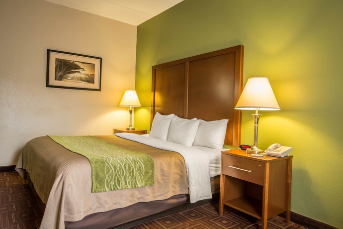 Imagen de la habitación del Hotel Comfort Inn Asheville Airport. Foto 9
