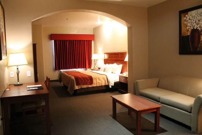 Imagen de la habitación del Hotel Comfort Inn At Convention Center. Foto 3