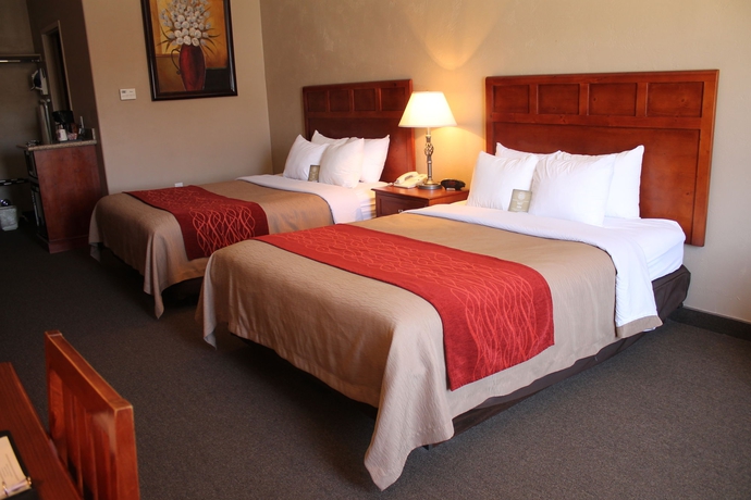 Imagen de la habitación del Hotel Comfort Inn At Convention Center. Foto 5