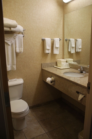 Imagen de la habitación del Hotel Comfort Inn At Convention Center. Foto 6