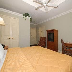 Imagen general del Hotel Comfort Inn At Founder's Tower. Foto 1