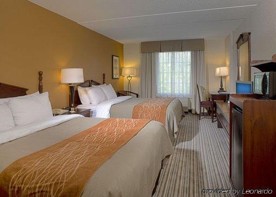 Imagen general del Hotel Comfort Inn At The Park. Foto 7