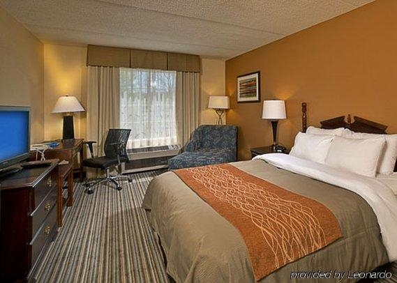 Imagen general del Hotel Comfort Inn At The Park. Foto 8