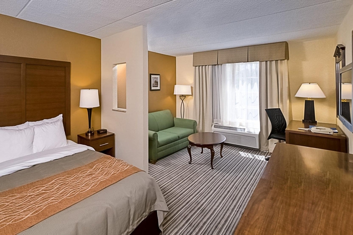 Imagen general del Hotel Comfort Inn At The Park. Foto 10