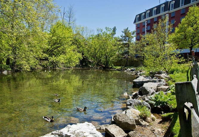 Imagen general del Hotel Comfort Inn At The Park. Foto 12