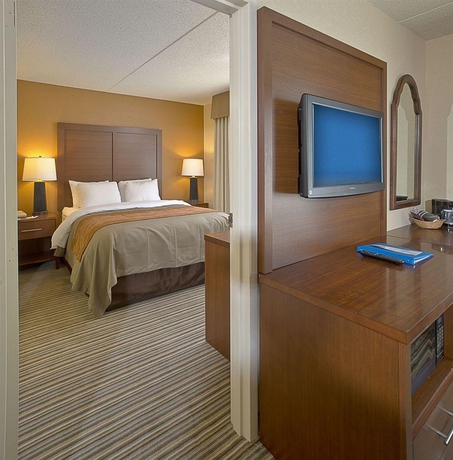 Imagen general del Hotel Comfort Inn At The Park. Foto 14